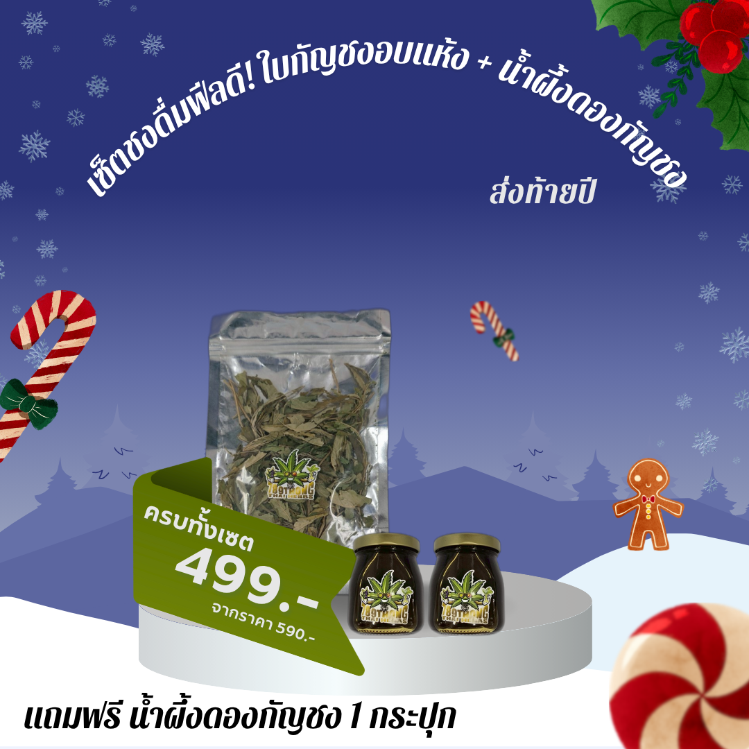 เซ็ตชงดื่มฟิลดี